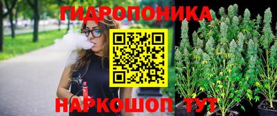 каннабис Новозыбков