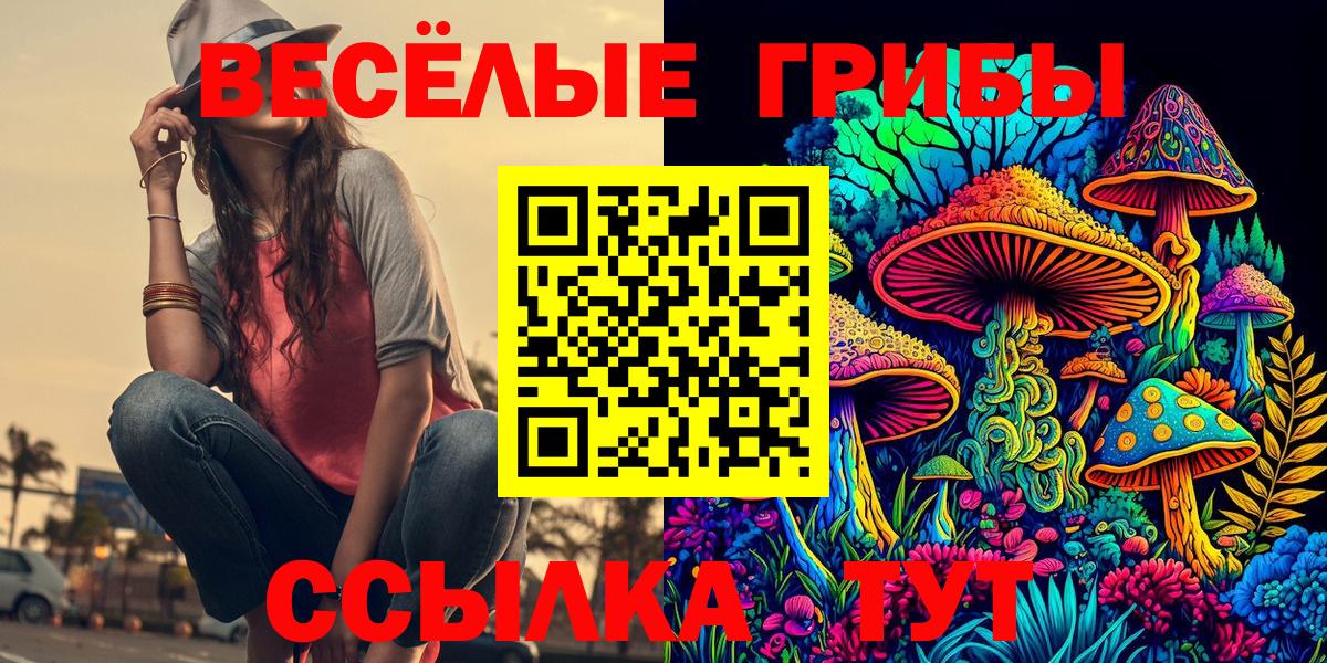 где купить наркоту  Псилоцибиновые грибы мицелий  Шали  Вход с VPN  Псилоцибиновые грибы GOLDEN TEACHER 